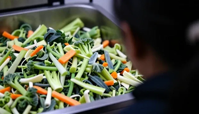 食材供应链中的物流优化关键要素